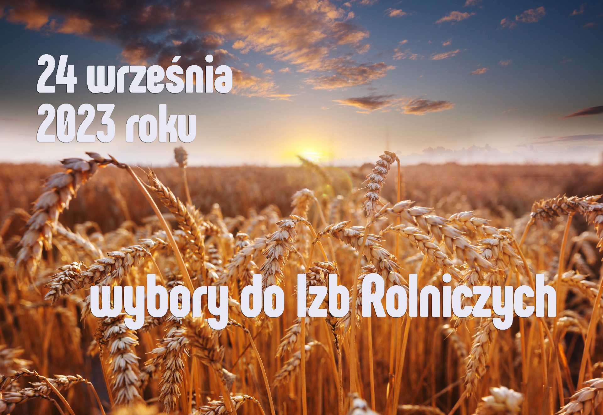 Wybory do Izb Rolniczych